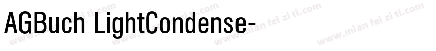 AGBuch LightCondense字体转换